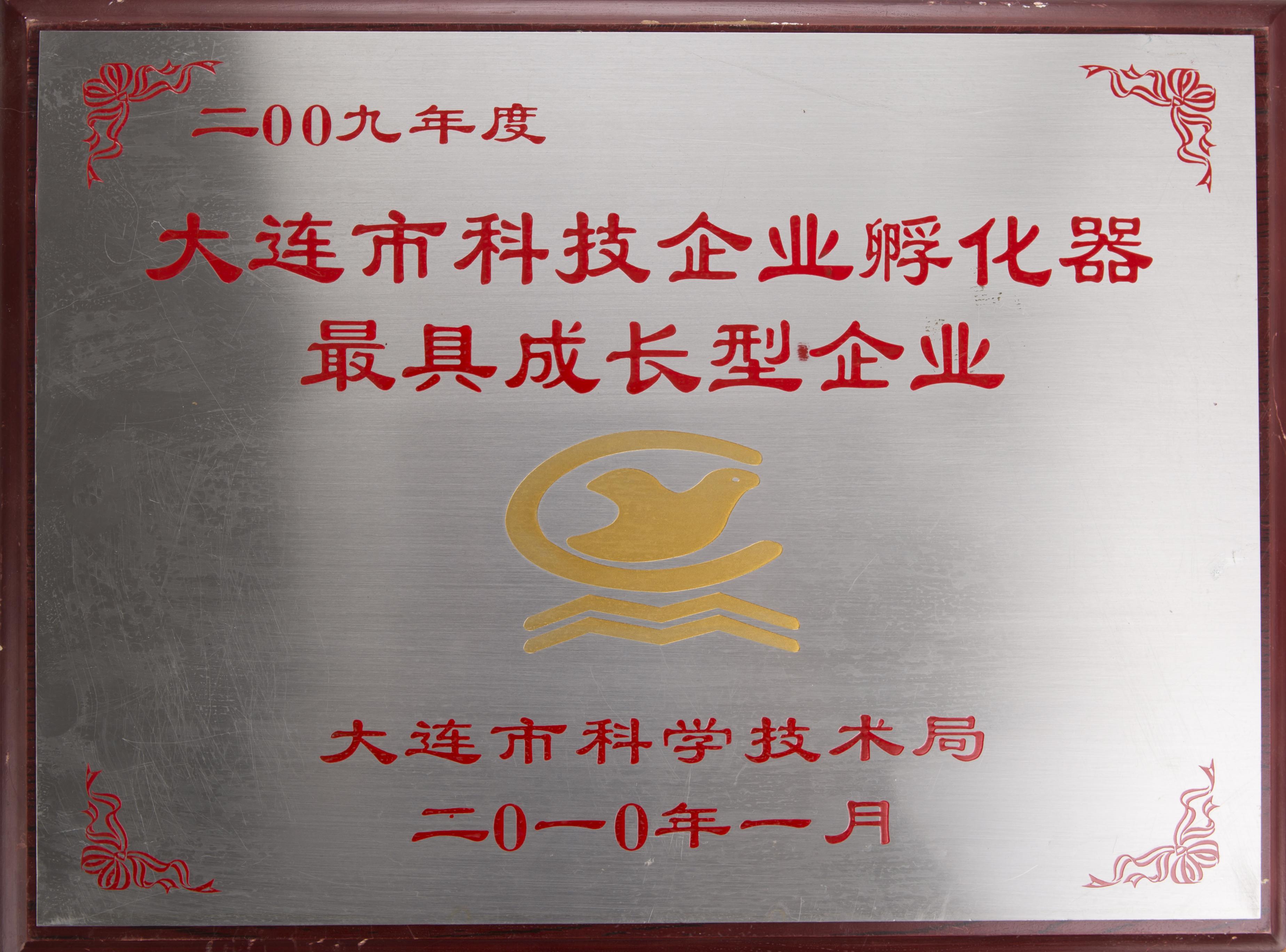 成长型企业证书