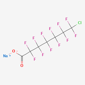 sodium 7-chloro-2,2,3,3,4,4,5,5,6,6,7,7-dodecafluoroheptanoate CAS 136176-46-0